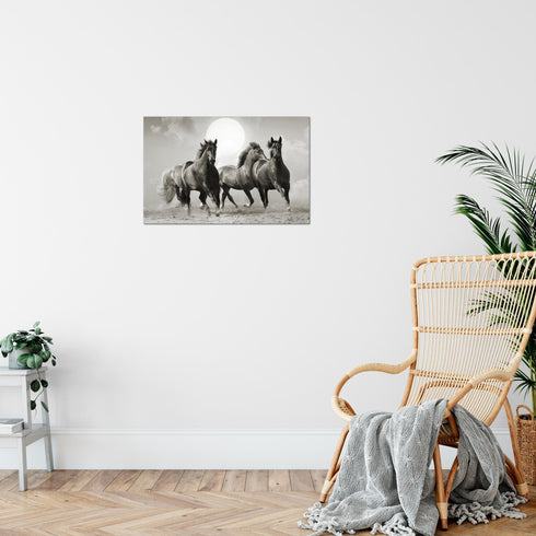 Wandbilder Wohnzimmer XXL Pferde Moderne Bilder Tiere
